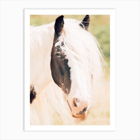 Paint Horse In Sunshine Art Print