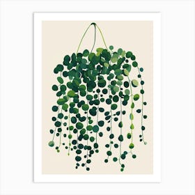 String Of Pearls Plant Minimalist Illustration 6 Art Print