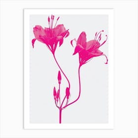 Hot Pink Gloriosa Lily 1 Art Print