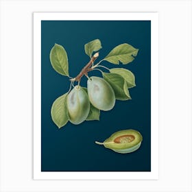 Vintage Plum Botanical Art on Teal Blue n.0252 Art Print