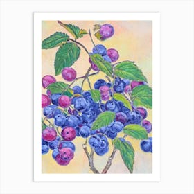 Loganberry Vintage Sketch Fruit Art Print