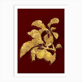 Vintage Ripe Plums on a Branch Botanical in Gold on Red n.0192 Art Print