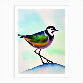 Lapwing Watercolour Bird Art Print
