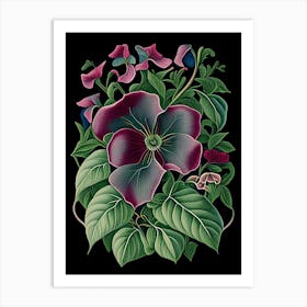 Vinca Floral 1 Botanical Vintage Poster Flower Art Print