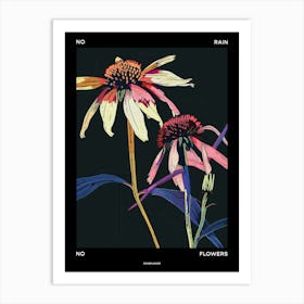 No Rain No Flowers Poster Coneflower 3 Art Print