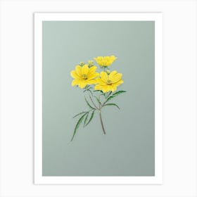 Vintage Golden Coreopsis Flower Botanical Art on Mint Green n.0937 Art Print