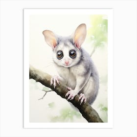 Light Watercolor Painting Of A Sugar Glider 8 Art Print