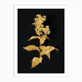 Vintage White Gillyflower Bloom Botanical in Gold on Black n.0277 Art Print