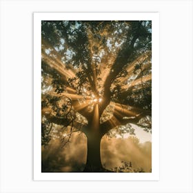 Tree Of Life 21 Art Print