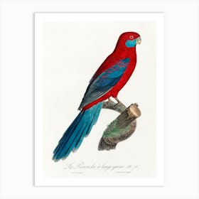 Crimson Rosella From Natural History Of Parrots, Francois Levaillant Art Print