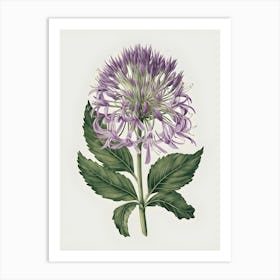 Chrysanthemum 2 Art Print