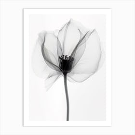 X Ray Flower 4 Art Print