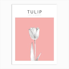 Tulip Print Modern Flower Poster Bamber Prints Art Print