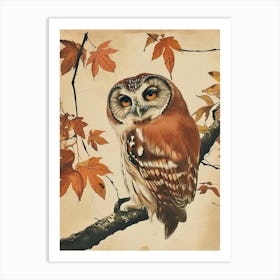 Northern Saw Whet Owl Vintage Illustration 2 Art Print