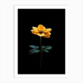 Single Yellow Flower On Black Background 8 Art Print