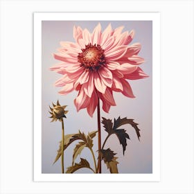 Floral Illustration Dahlia 3 Art Print