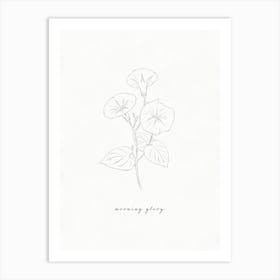 Morning Glory Line Drawing Art Print