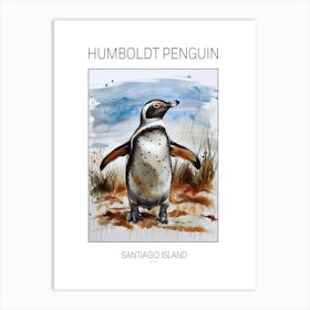 Humboldt Penguin Santiago Island Watercolour Painting 3 Poster Art Print