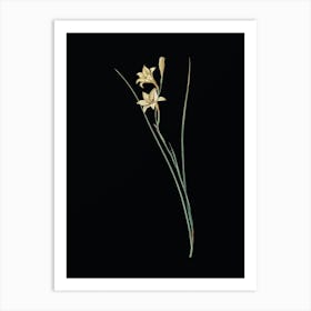 Vintage Gladiolus Botanical Illustration on Solid Black n.0405 Art Print