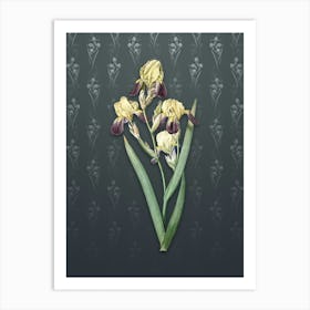 Vintage Elder Scented Iris Botanical on Slate Gray Pattern n.2400 Art Print