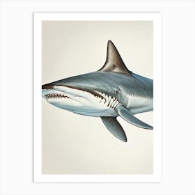 Great White 2 Shark Vintage Art Print