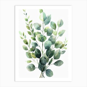 Eucalyptus Art Print