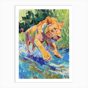 Transvaal Lion Crossing A River Fauvist Painting 3 Art Print