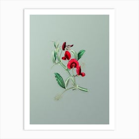 Vintage Tangier Pea Flower Botanical Art on Mint Green Art Print