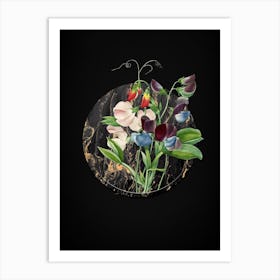 Vintage Sweet Pea Botanical in Gilded Marble on Shadowy Black n.0030 Art Print