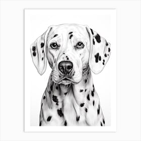 Dalmatian Dog, Line Drawing 2 Art Print