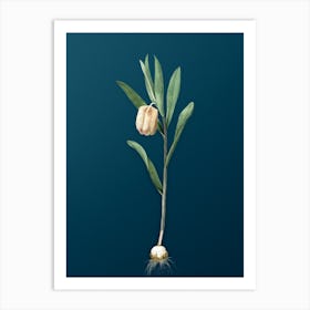 Vintage Fritillaria Latifolia Botanical Art on Teal Blue n.0425 Art Print