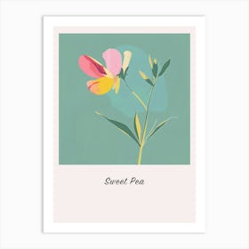 Sweet Pea 3 Square Flower Illustration Poster Art Print