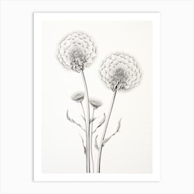 Dandelions Flower Vintage Botanical 1 Art Print