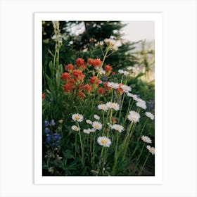 Wildflower Bunch Art Print