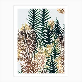 Acropora Intermedia 2 Vintage Graphic Watercolour Art Print