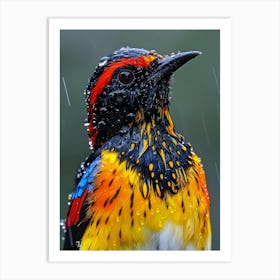 Colorful Bird In The Rain Art Print