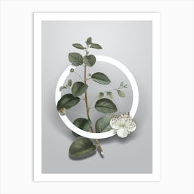 Vintage Caper Plant Minimalist Floral Geometric Circle on Soft Gray n.0222 Art Print