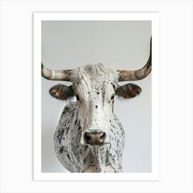 Longhorn Bull 1 Art Print