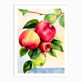 Rose Apple Italian Watercolour fruit Art Print