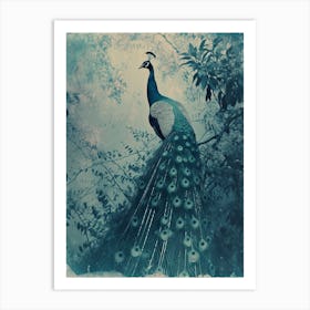 Peacock In The Tree Cyanotype Inspired Turquoise Art Print