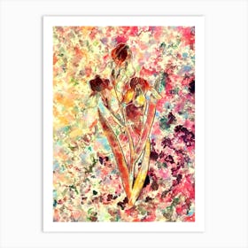 Impressionist Elder Scented Iris Botanical Painting in Blush Pink and Gold Art Print