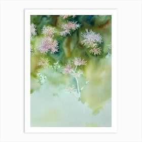 Acropora Jacquelineae Storybook Watercolour Art Print