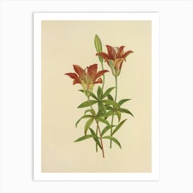 Lily Of The Valley 3 Art Print