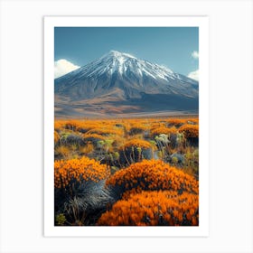 Chilean Desert Art Print