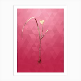 Vintage Cape Tulip Botanical in Gold on Viva Magenta Art Print