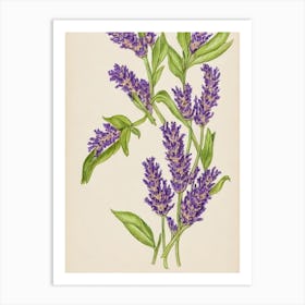 Lavender Vintage Botanical 2 Flower Art Print