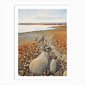 Hanford Reach National Monument 10 Art Print