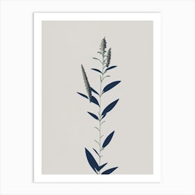 Hyssop Herb Simplicity Art Print