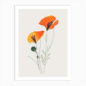 California Poppy Spices And Herbs Minimal Line Drawing 3 Art Print