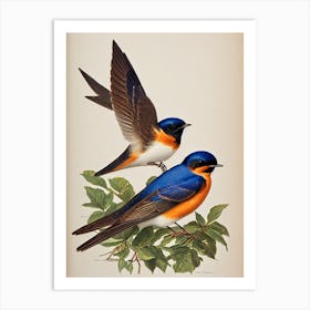 Barn Swallow James Audubon Vintage Style Bird Art Print